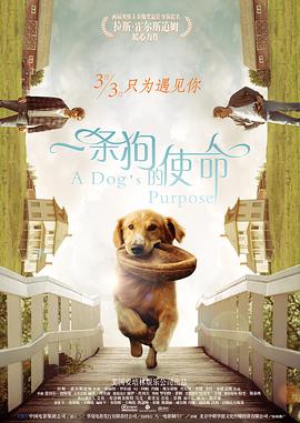 一级在线免费视频