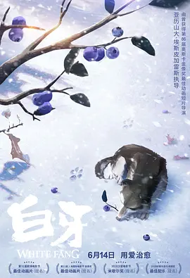 久久精品一品道久久精品9