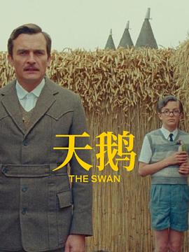 成av人在线观看