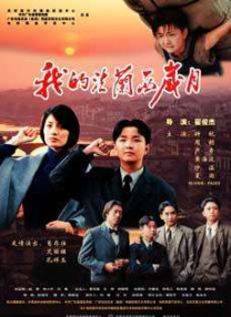 电视连续剧孤战迷城免费播放