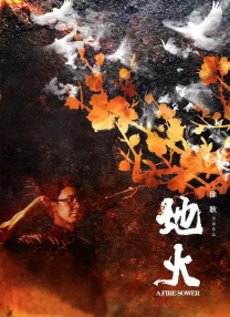 伦理片午夜视频在线观看免费