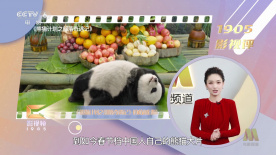 美国禽片禁式1一9